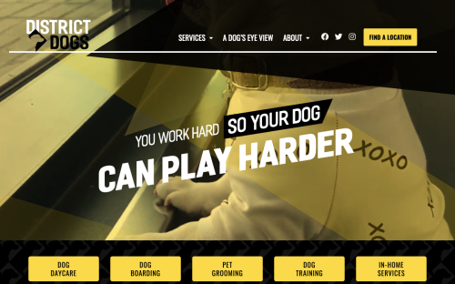 01.districtdogs.com