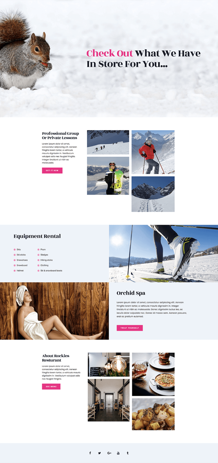 Ski - services
