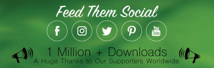 best-instagram-plugins-5-feed-them-social