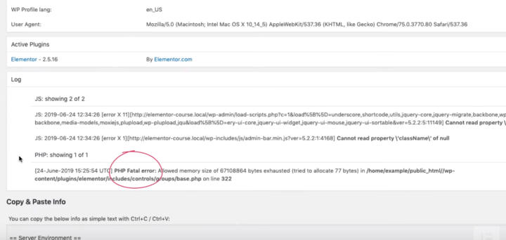 elementor-blank-screen-fix-3