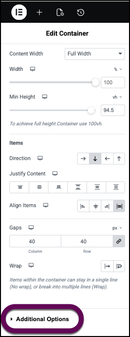 The Additional Options section