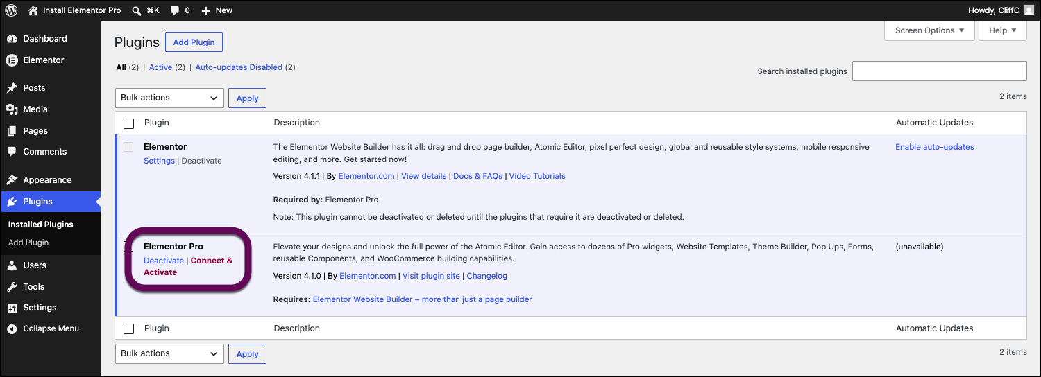 Installed plugins section with Connect and Activate Elementor Pro highlighted