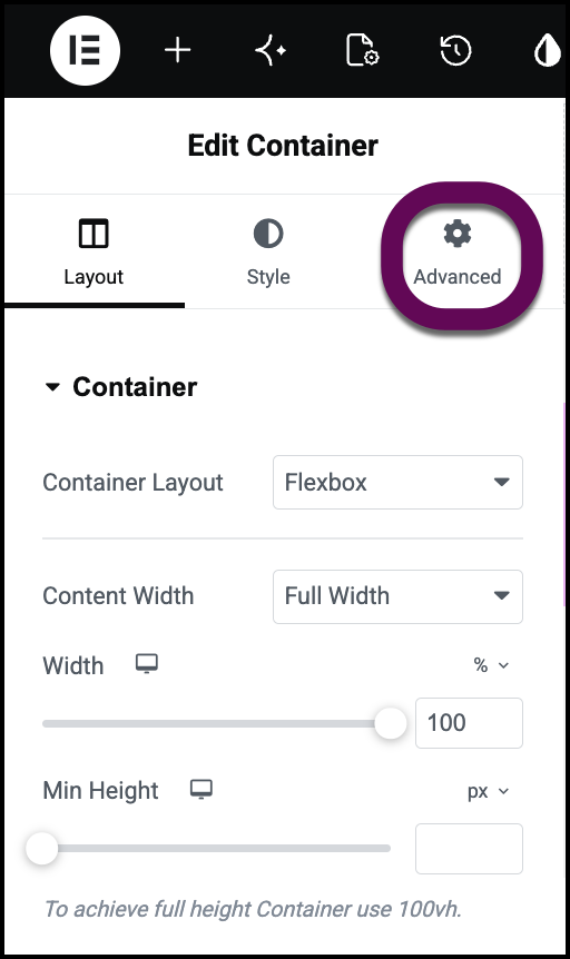 Container options with the Advanced tab highlighted