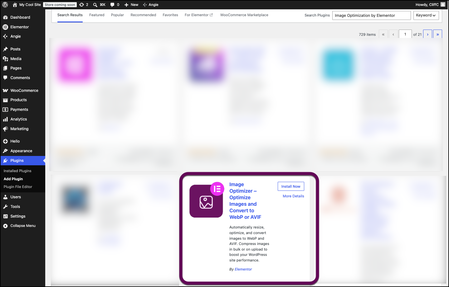 The Image Optimization card for the plugin