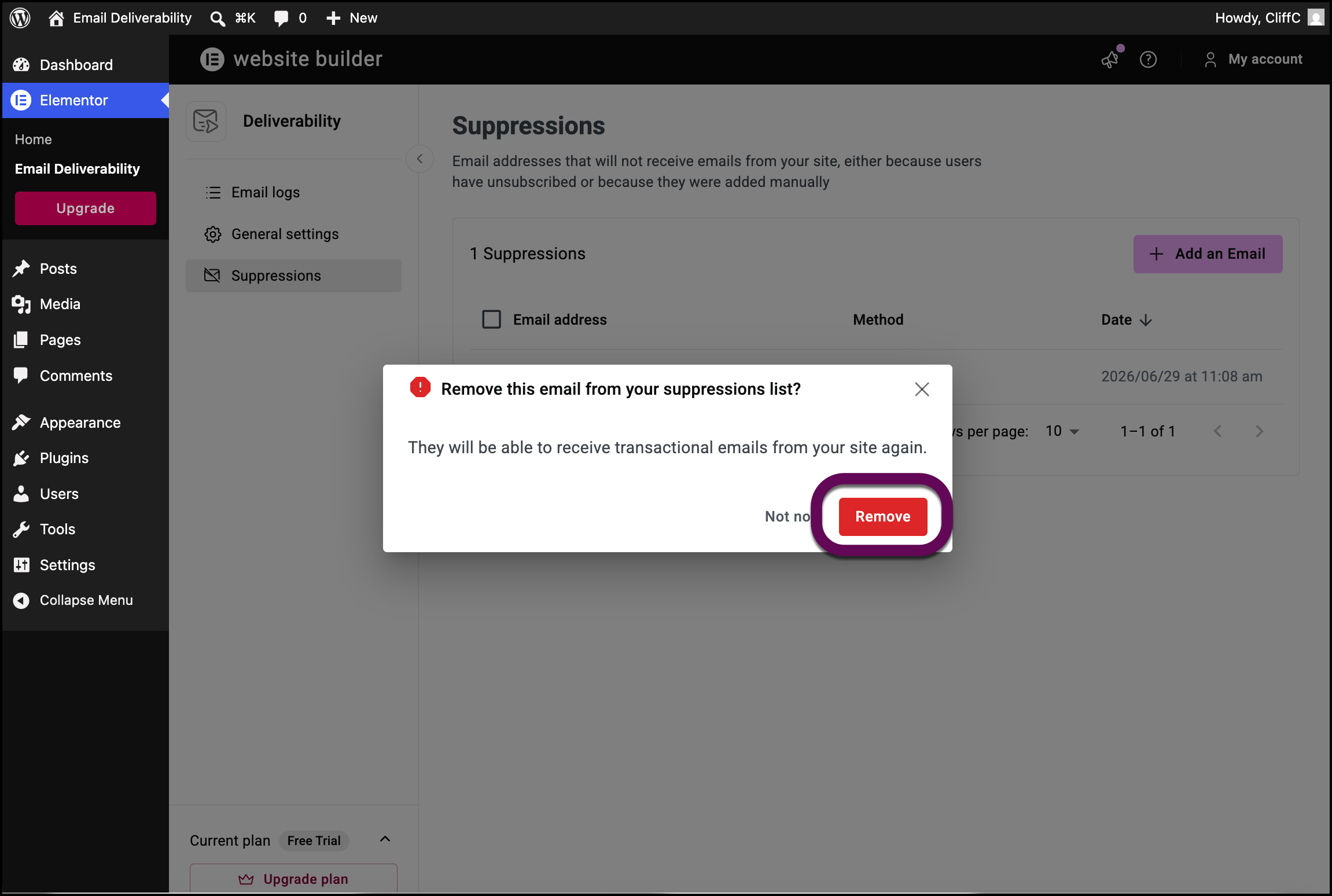 The modal to remove an email from the Suppressed list with the Remove button highlighted.