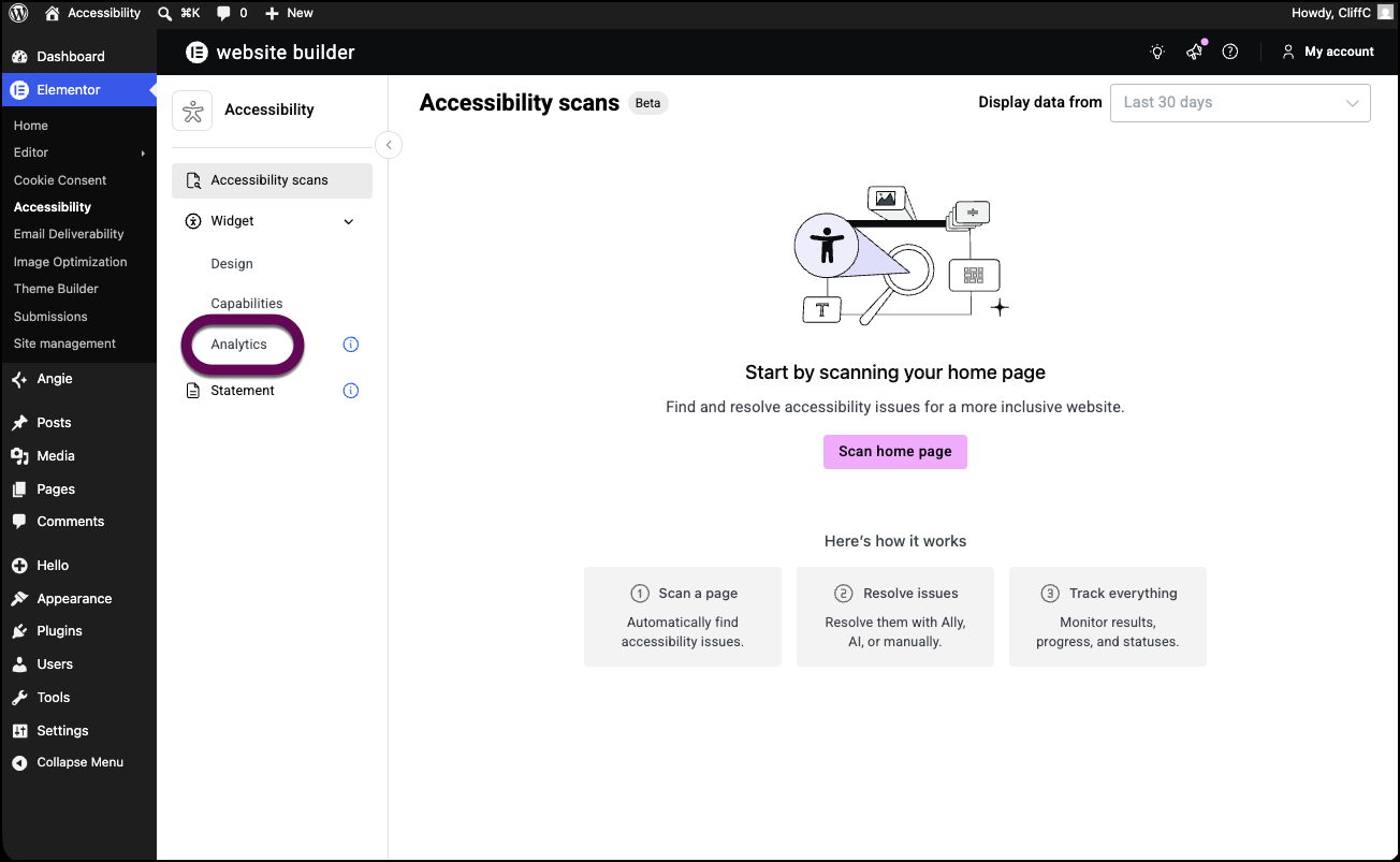 The Analytics button