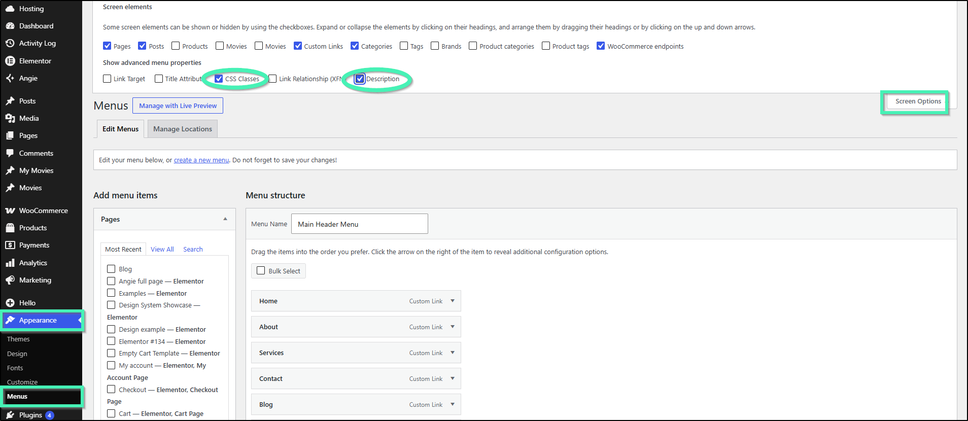 appearance menus settings showing css classes and descriptions