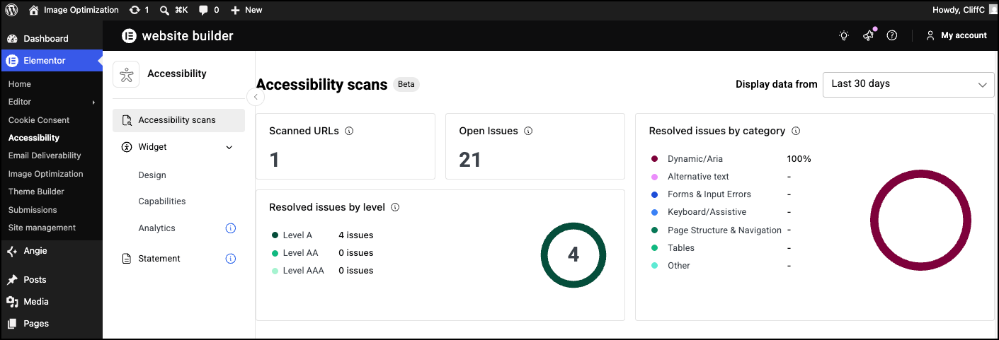 The Accessibility Scans section