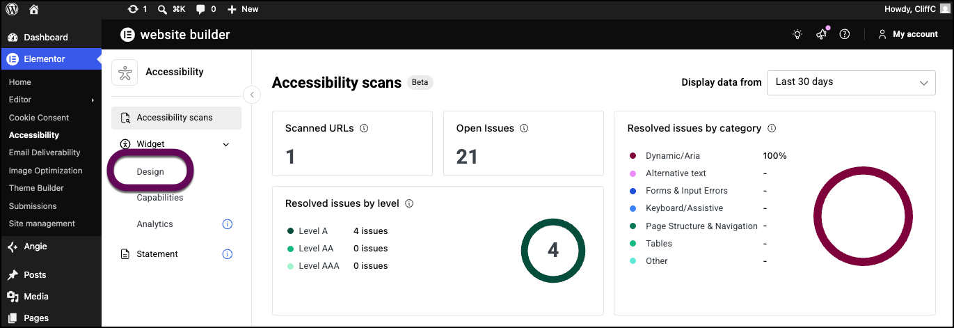 The Web Accessibility feature with the Design button highlighted