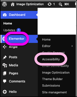 The link to Web Accessibility