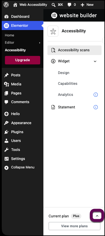 The Web Accessibility panel with the arrow opening subscription details highlighted.