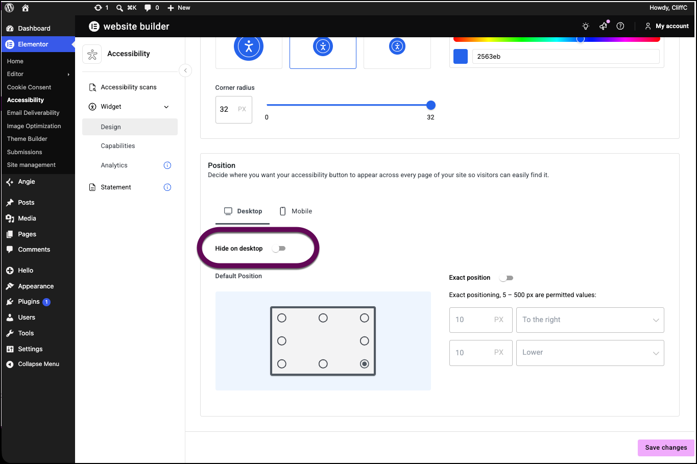 The toggle to hide the accessibility icon on desktop