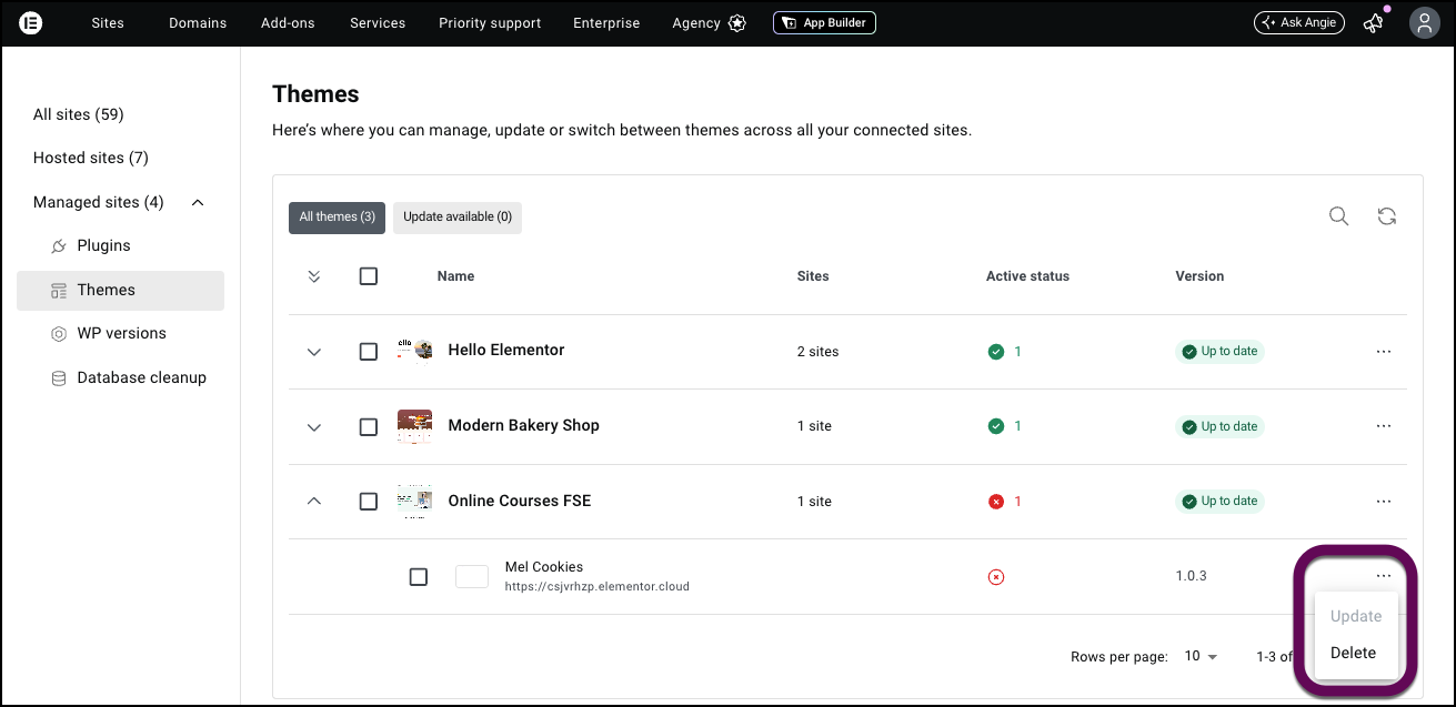 Click a theme to see what sites use that theme and to update or delete a theme for an individual site.