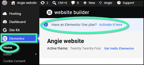 Elementor one activate