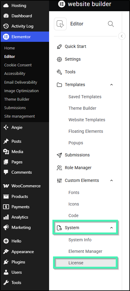 editor license
