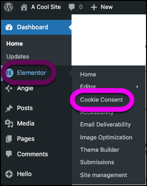 The link that takes users to the Cookie Consent section.