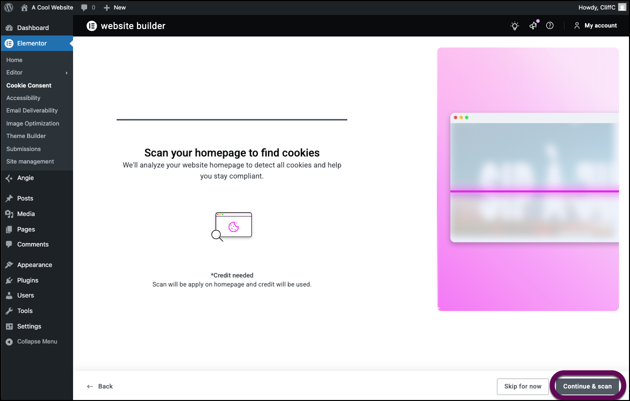 Click Continue to scan your site.