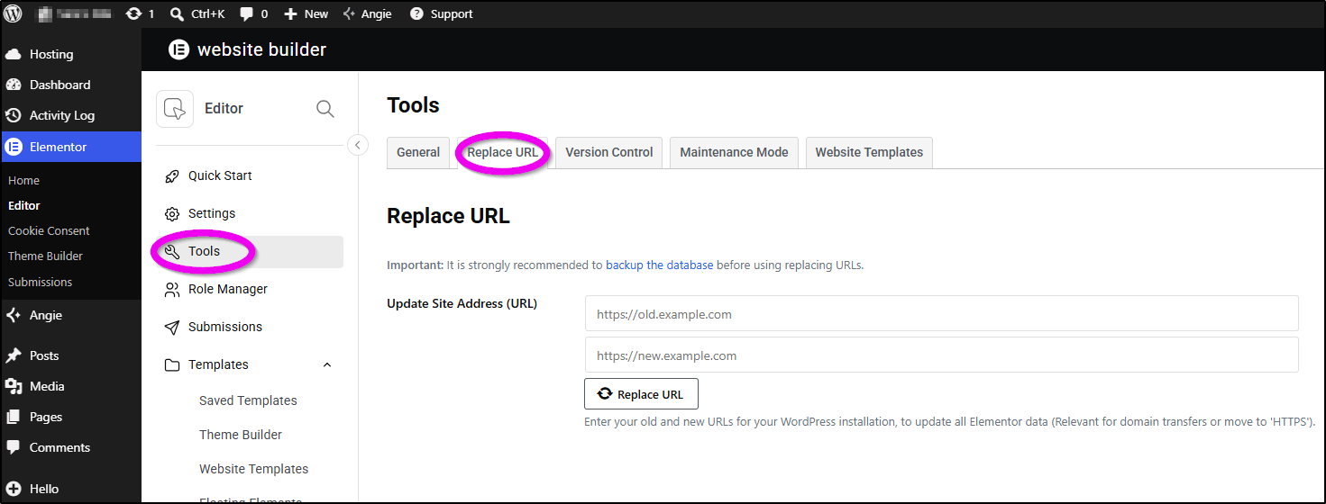 replace url
