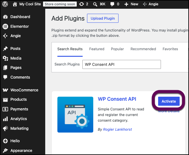 The button that activates WP Consent API