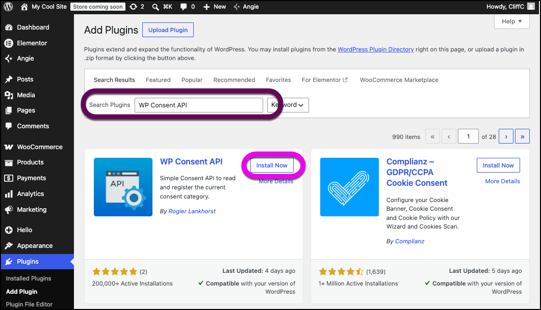 Search for and install WP Consent API